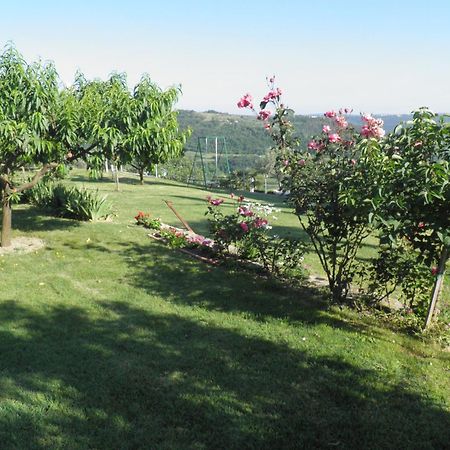 Apartments Cipresa Portorož Dış mekan fotoğraf