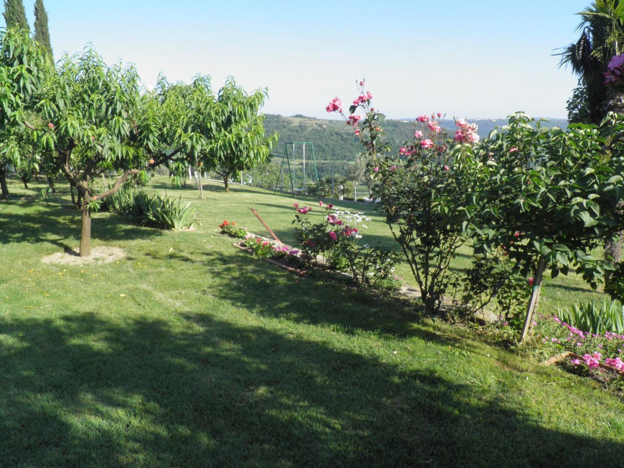 Apartments Cipresa Portorož Dış mekan fotoğraf