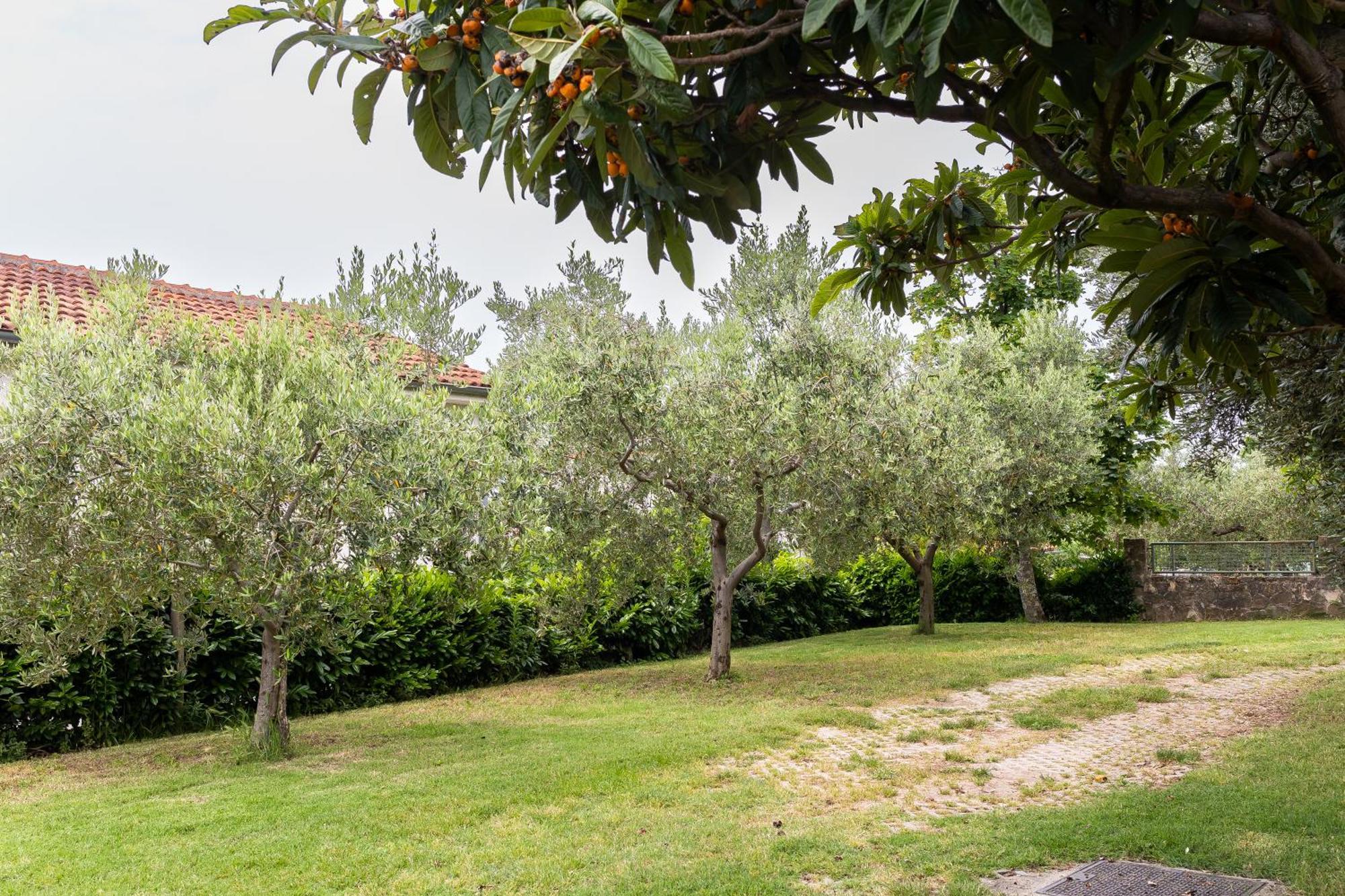 Apartments Cipresa Portorož Dış mekan fotoğraf