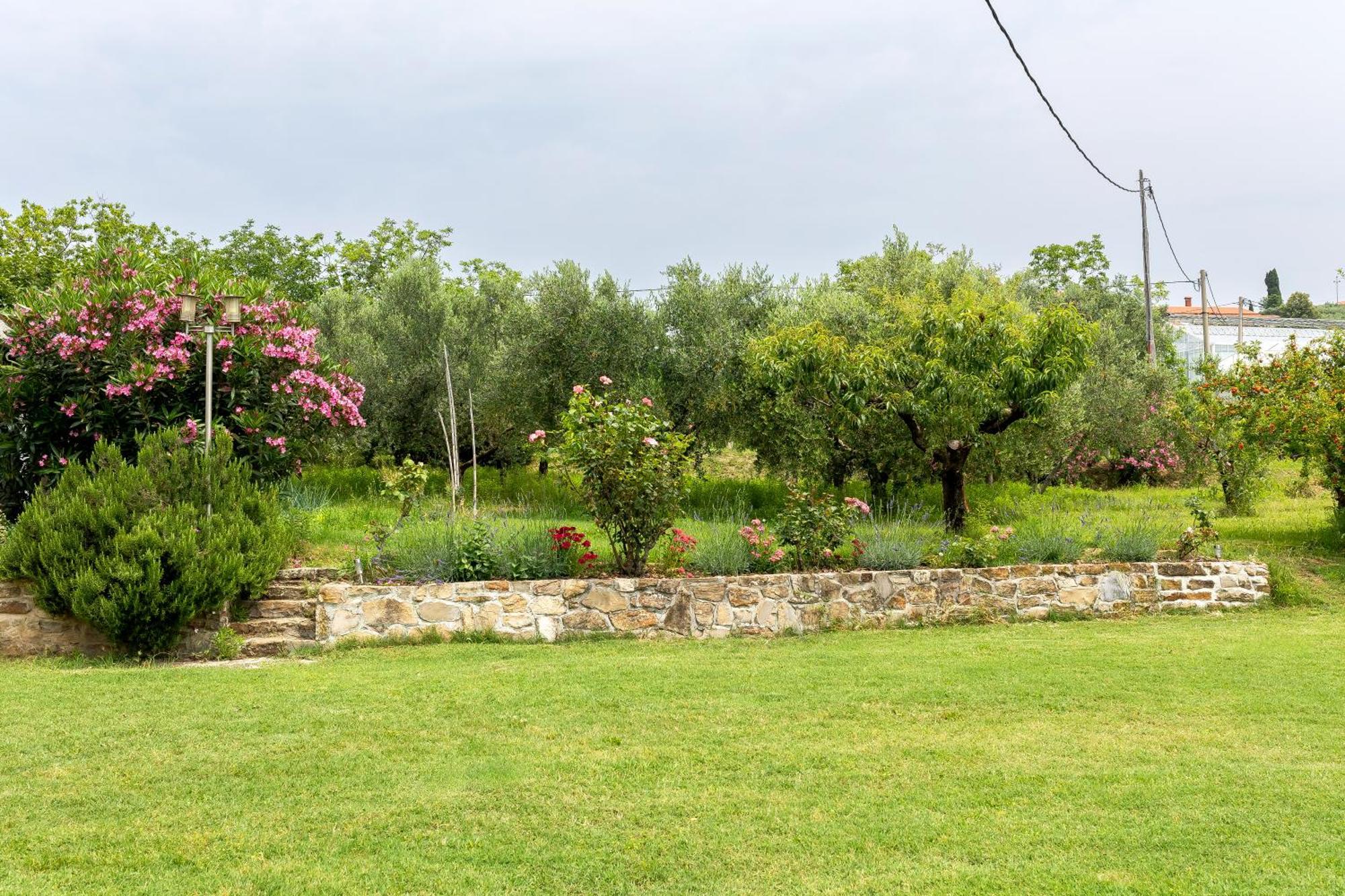 Apartments Cipresa Portorož Dış mekan fotoğraf