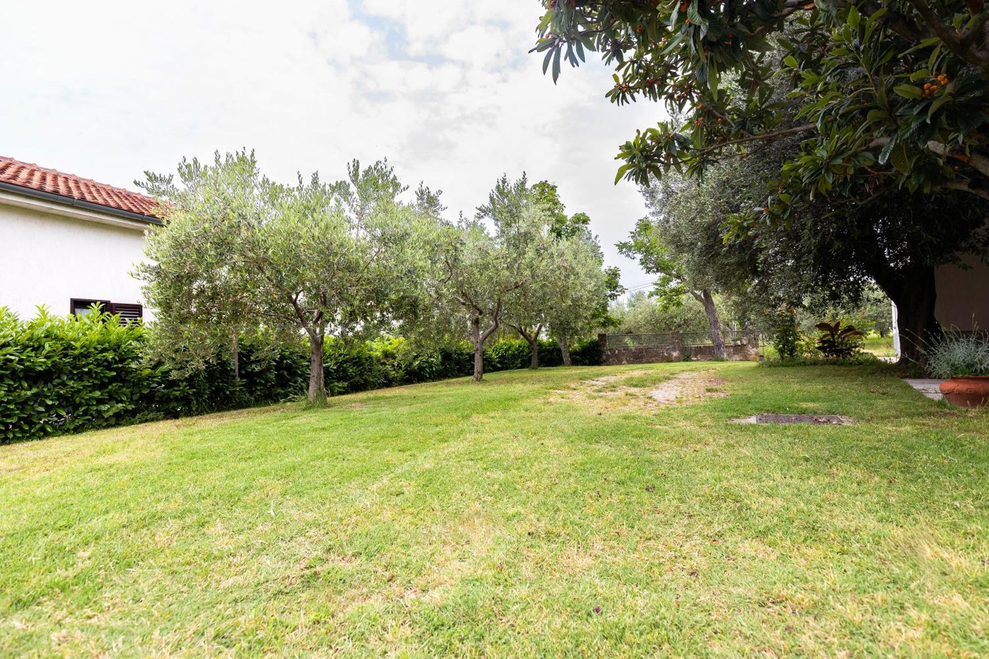 Apartments Cipresa Portorož Dış mekan fotoğraf